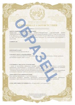 Образец Сертификат СТО 01.064.00220722.2-2020 Саранск Сертификат СТО 01.064.00220722.2-2020 