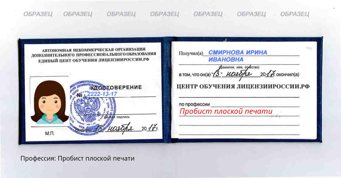 Пробист плоской печати Саранск